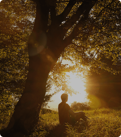 Silhouette of person sitting beneath tree